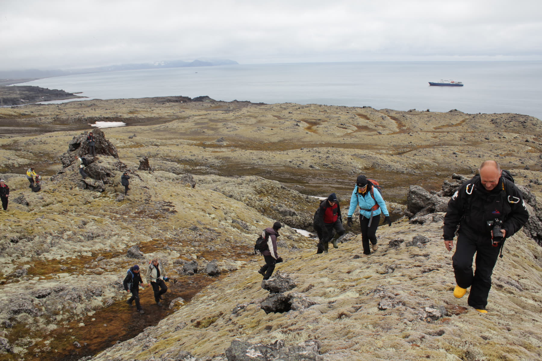 Arktischer Ozean – Aberdeen, Fair Isle, Jan Mayen, Eisrand, Spitzbergen, Vogelbeobachtung