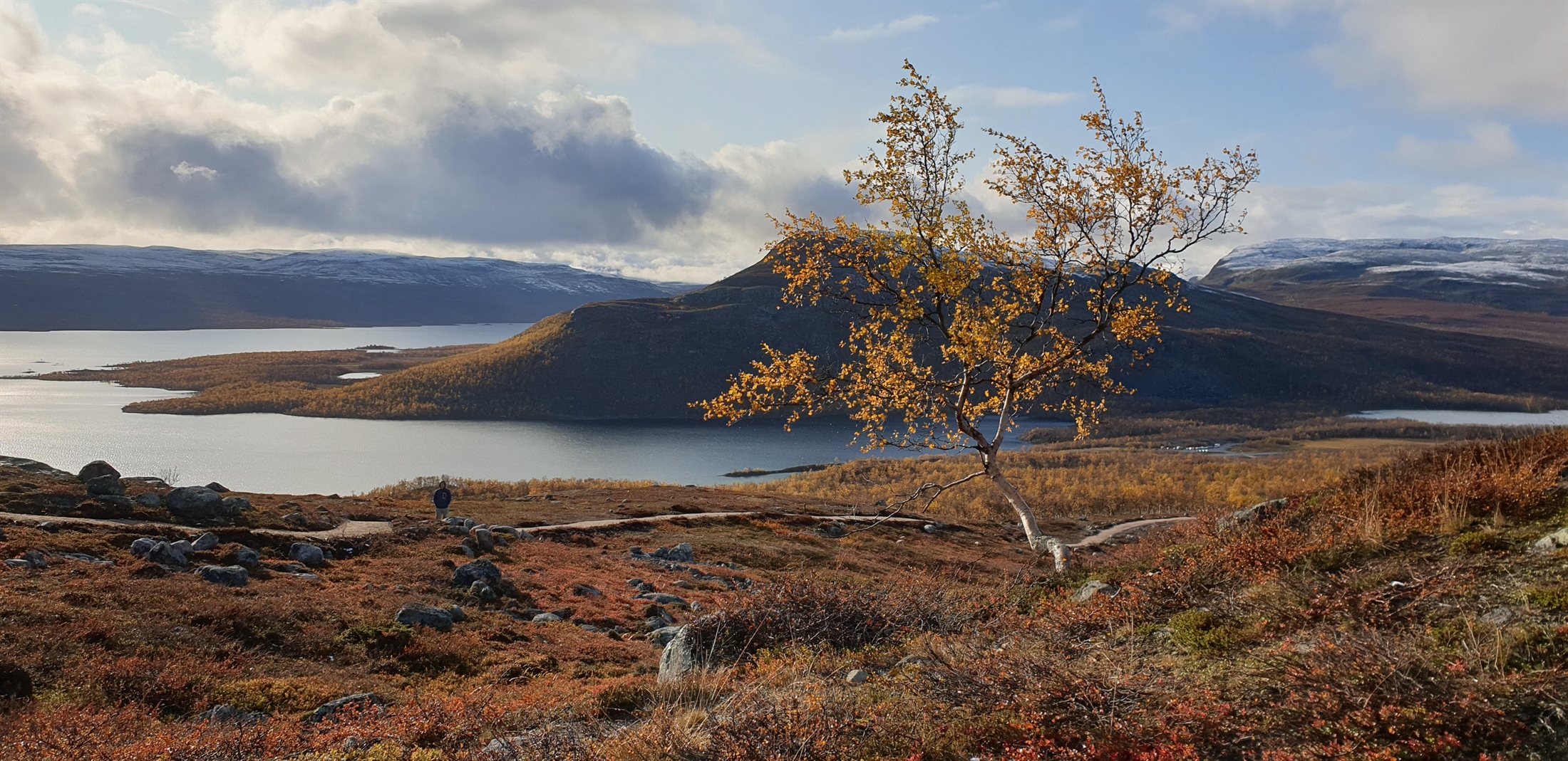 Expedition Indian Summer in Lappland - Ruska, Skandinaviens Naturfeuerwerk