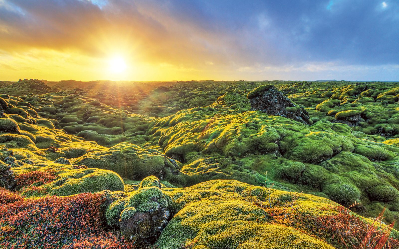 Lavafeld Eldhraun, Island