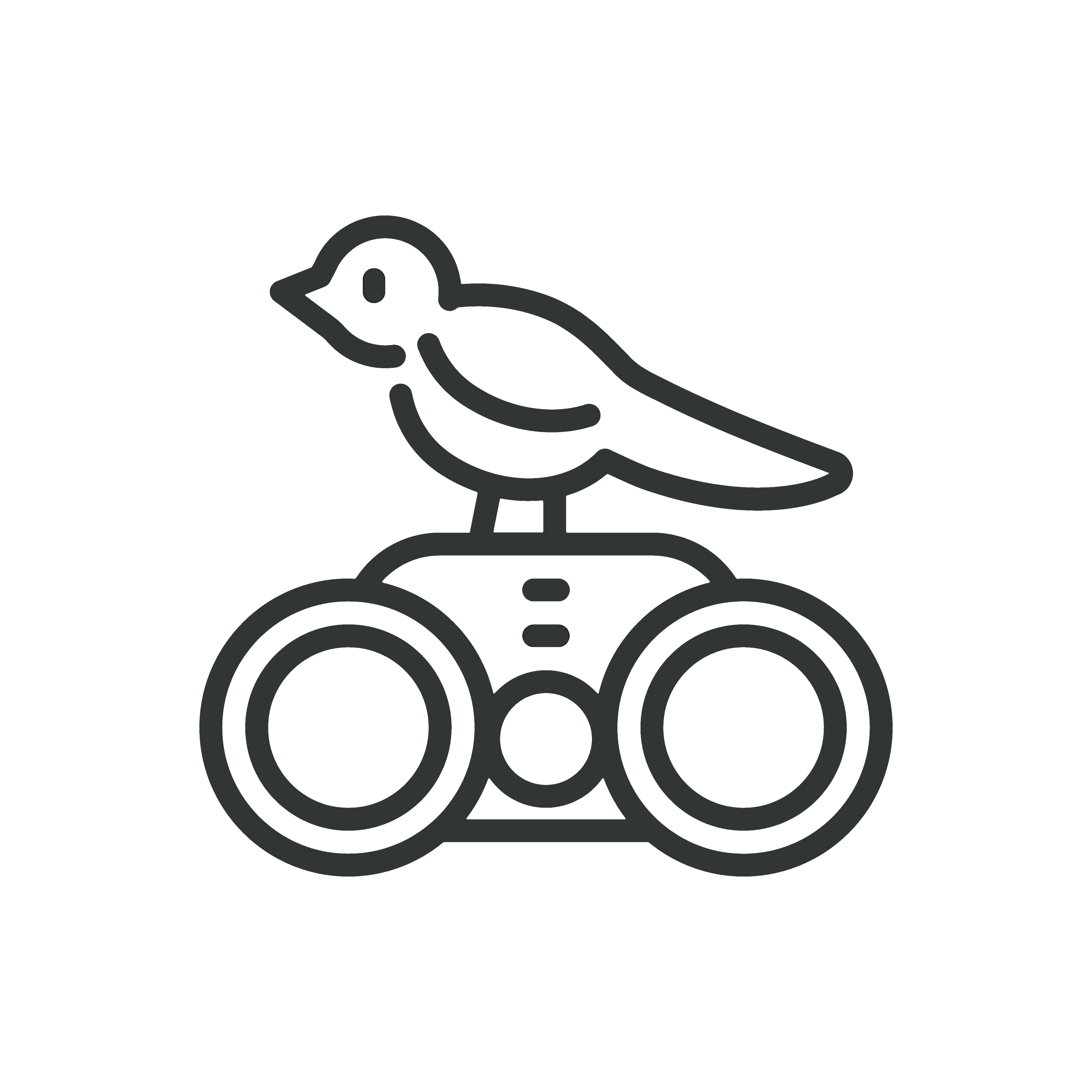 Vogelbeobachtung